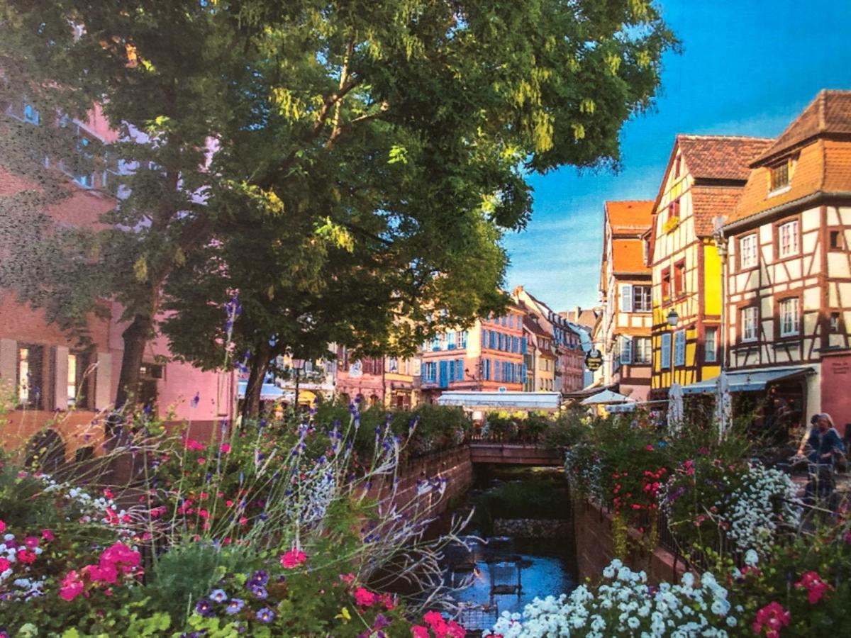 Gite De Charme Colmar Eksteriør billede